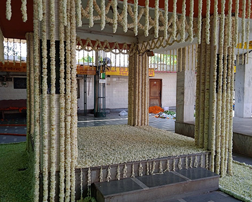 Gallery 11